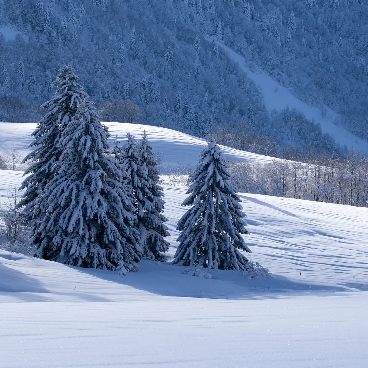 Arrivée au Cernay