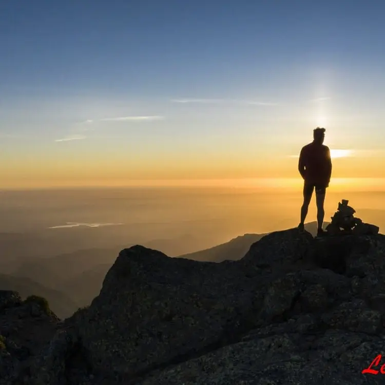 Raquette By Night et Aura Solaire