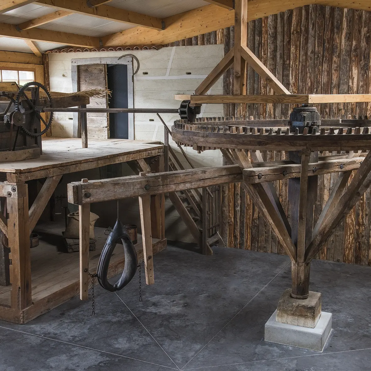 Manège à chevaux