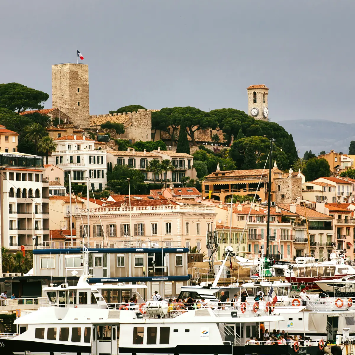 Le port de Cannes