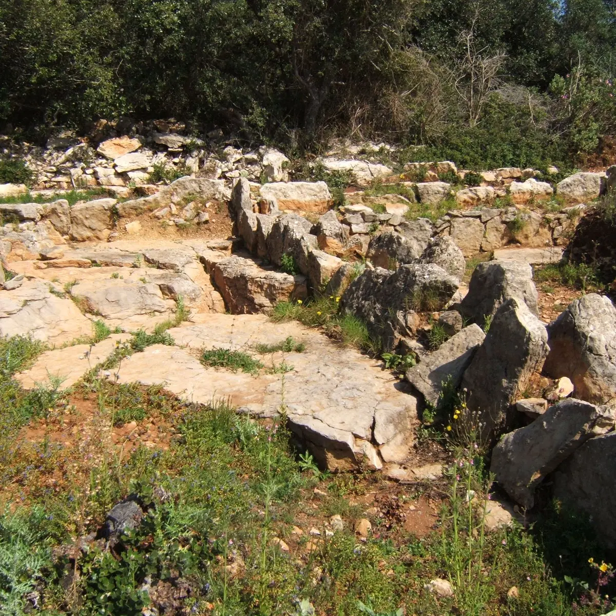 Oppidum du Castellas