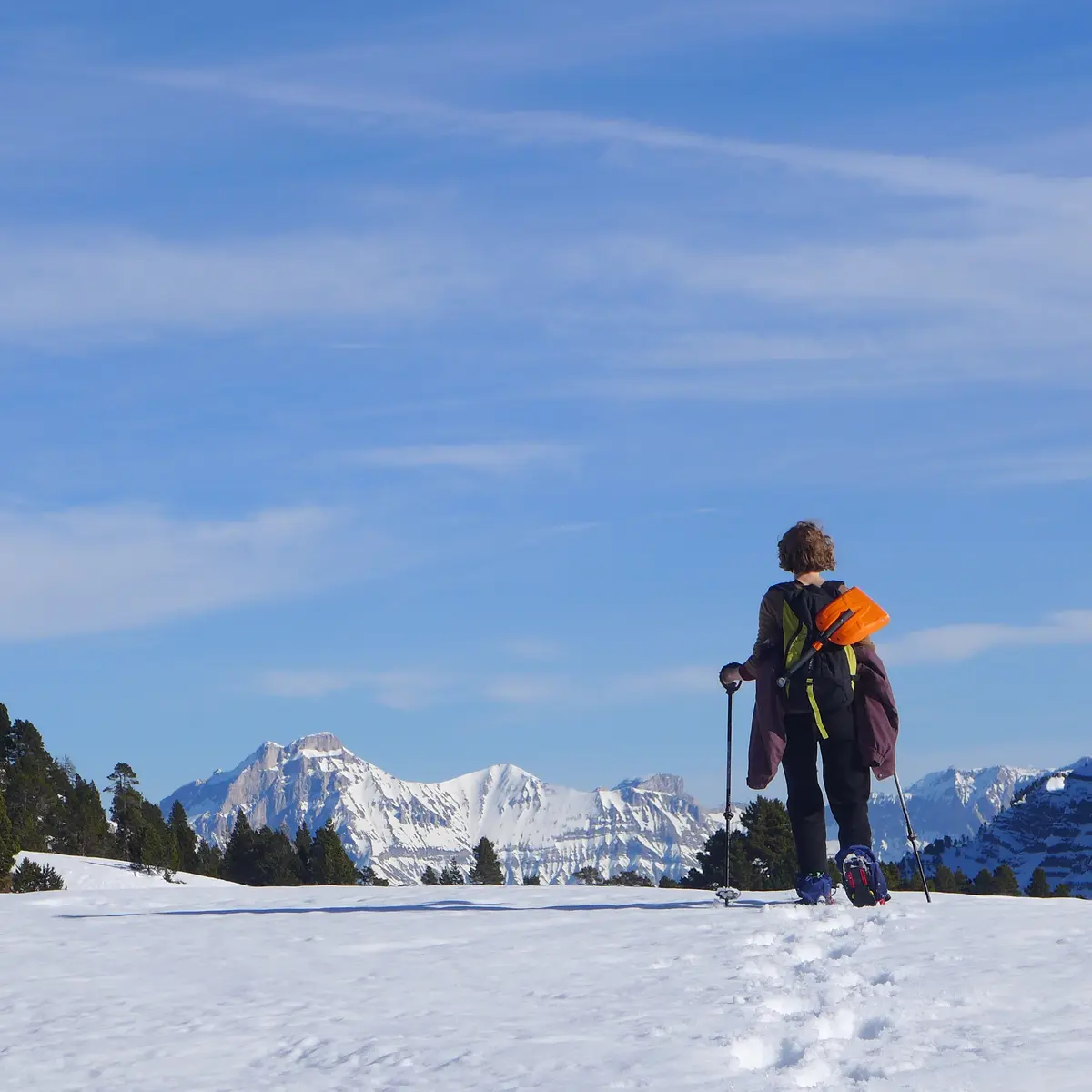 Rando raquettes Combeau