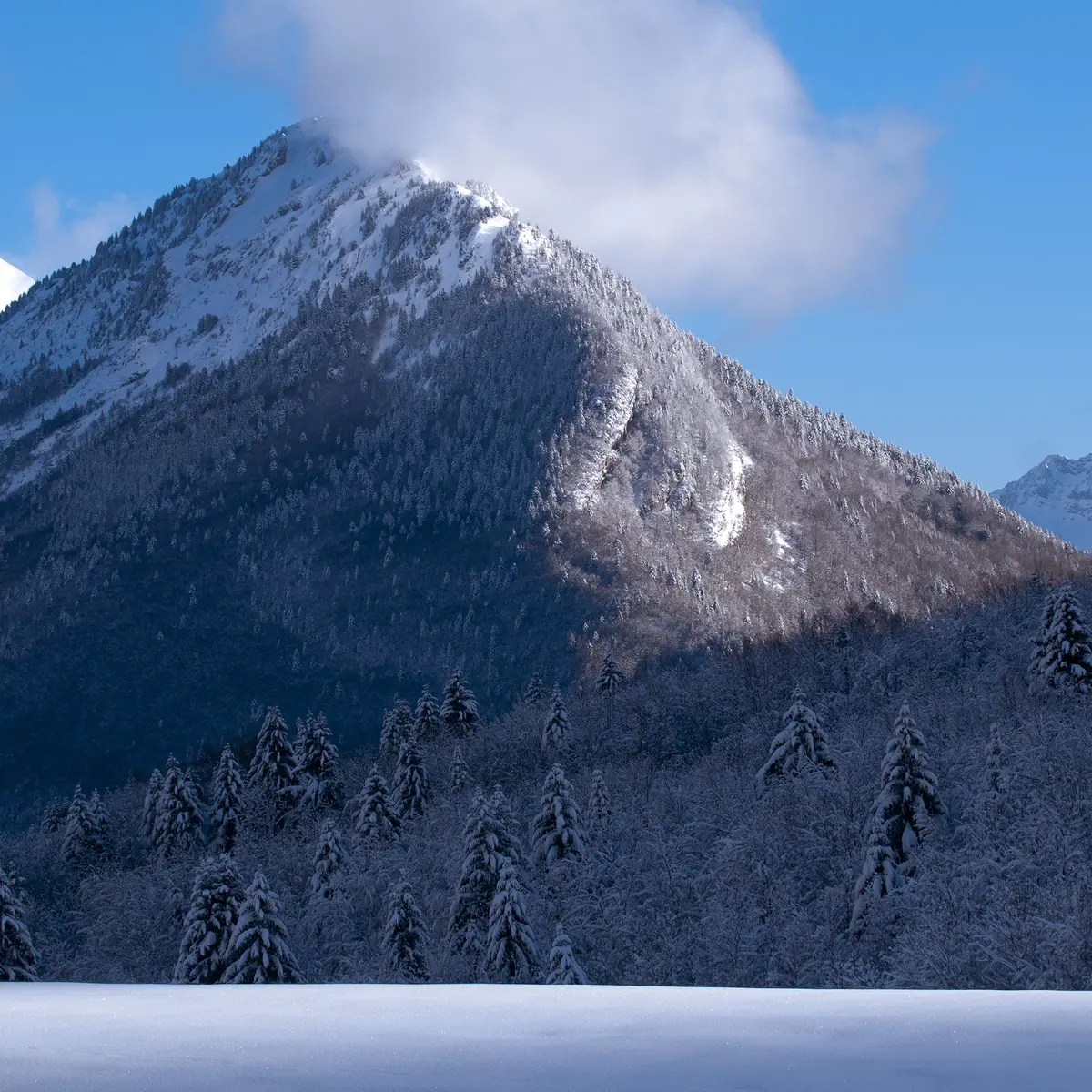 Vue sur les Rochers de la Bade et le Colombier