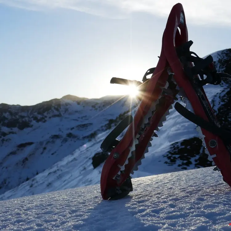 Raquette By Night et Aura Solaire