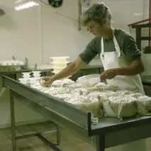 Les chèvres des Blétonnets