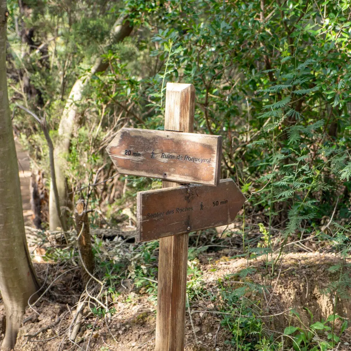 Randonnée : Sentier du mimosa - Vallon de la Gaillarde