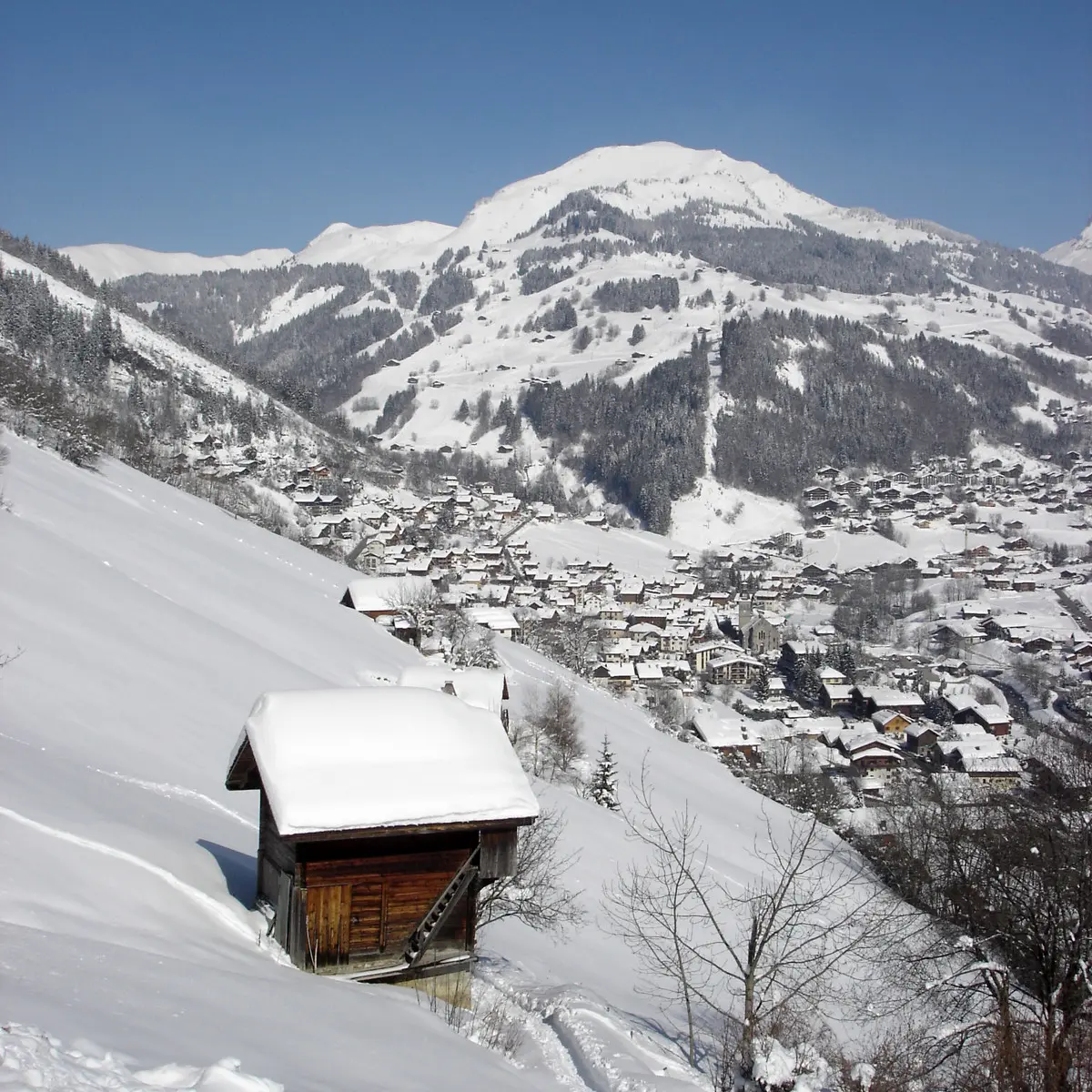 mont Lachat depuis les hauteurs du Village