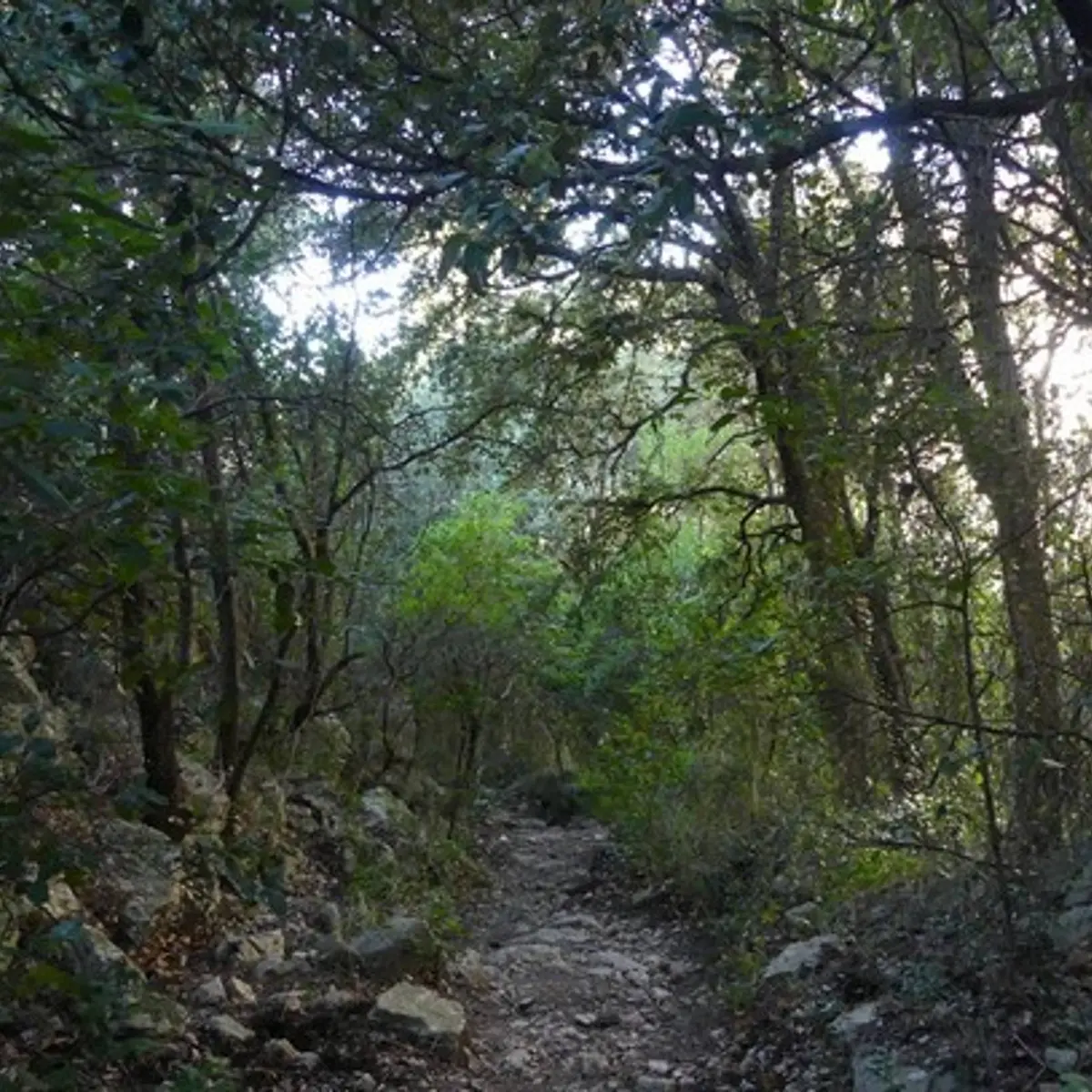 Le chemin des Cabrelles