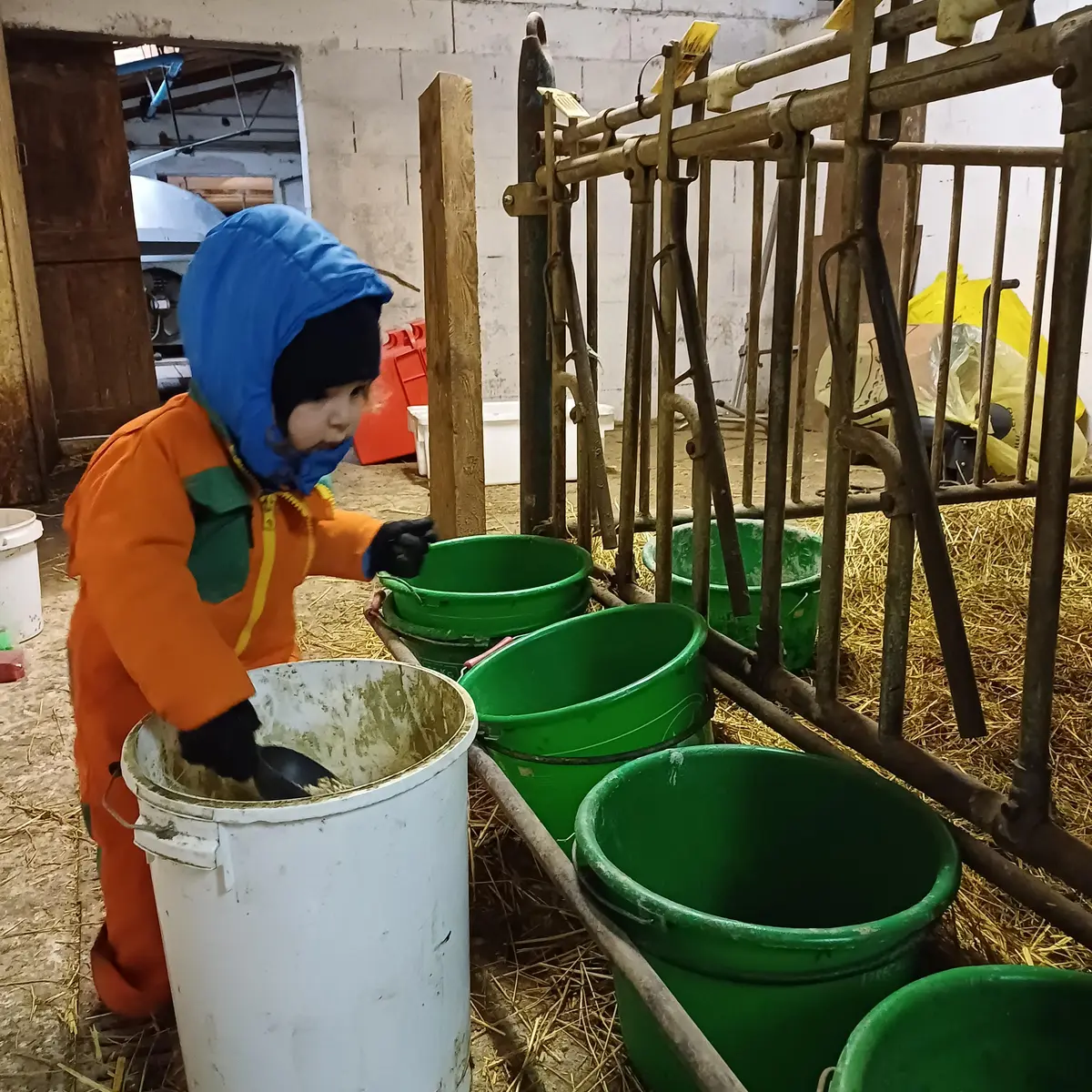 visite de ferme soin aux animaux