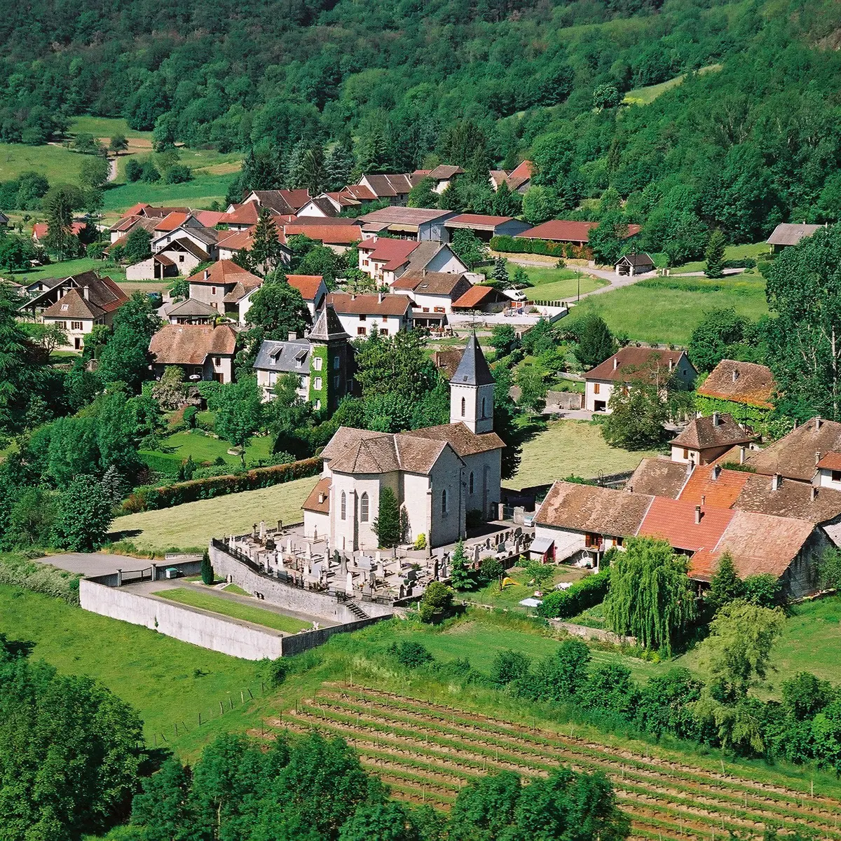 Vue aérienne Cressin-Rochefort