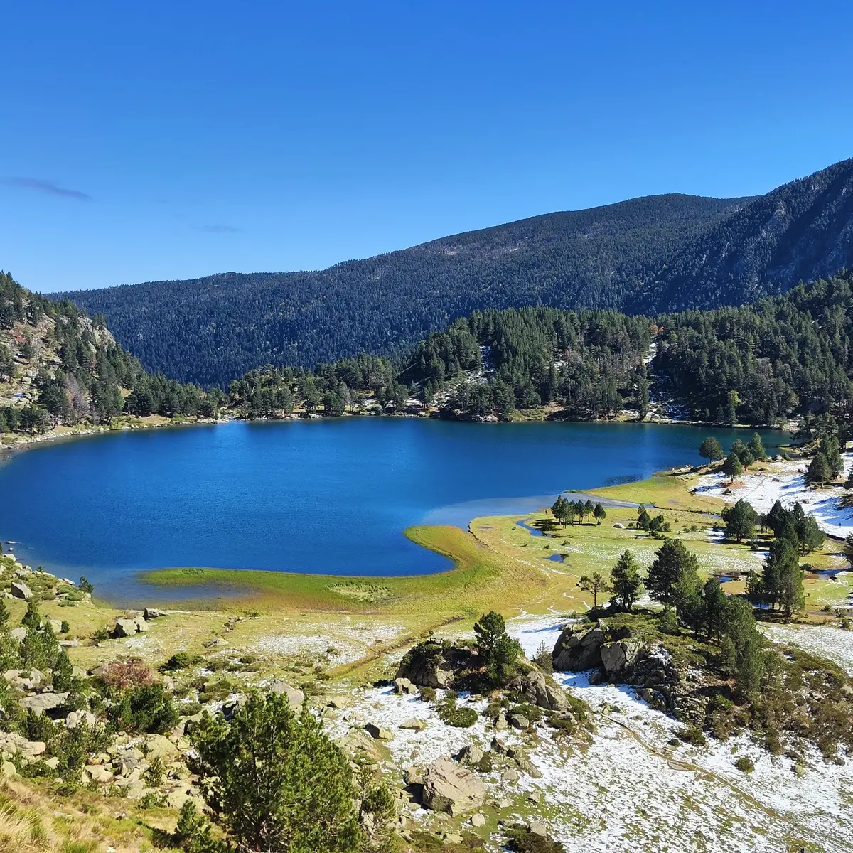 Vue plongeante sur l'étang