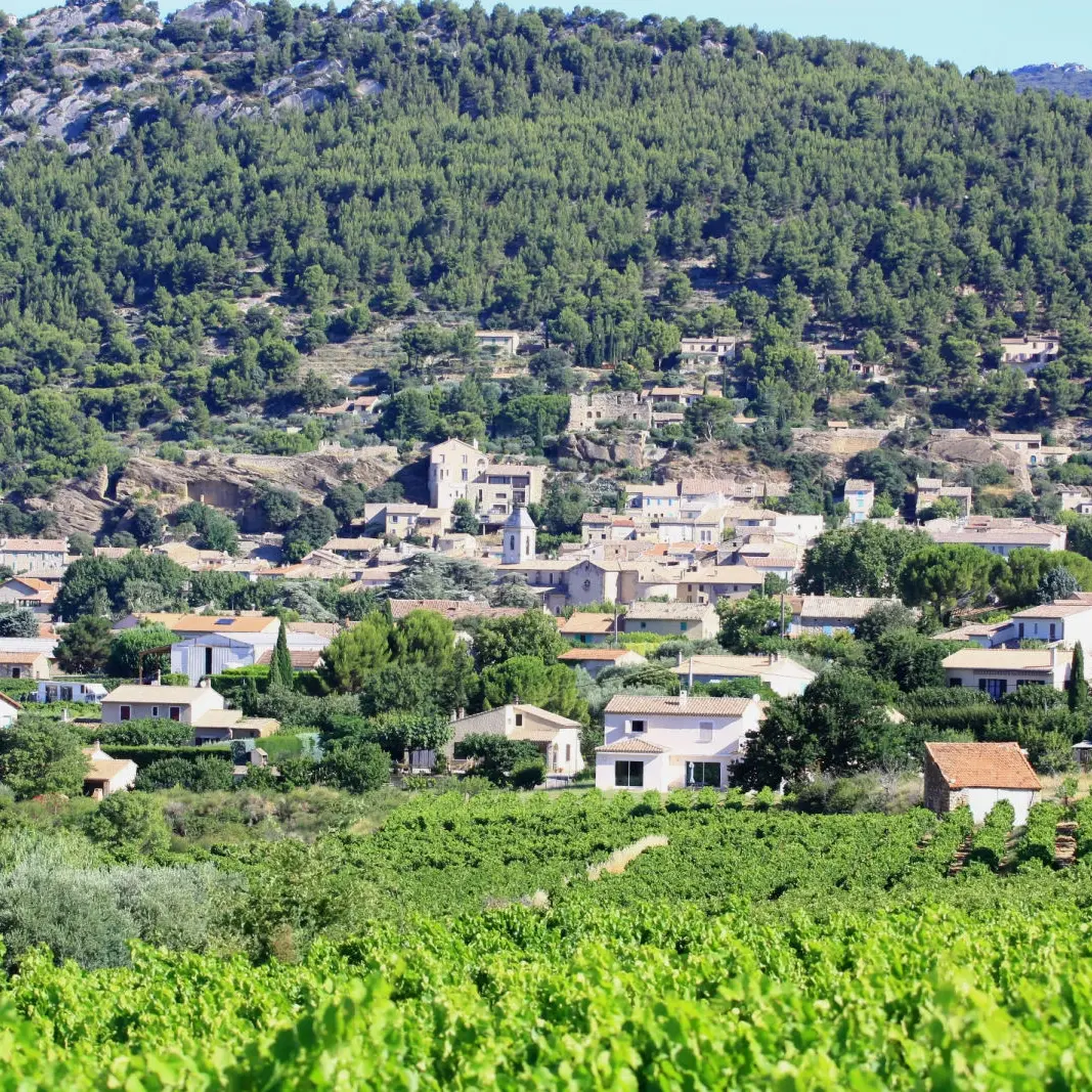 A. Hocquel / Collect. ADT