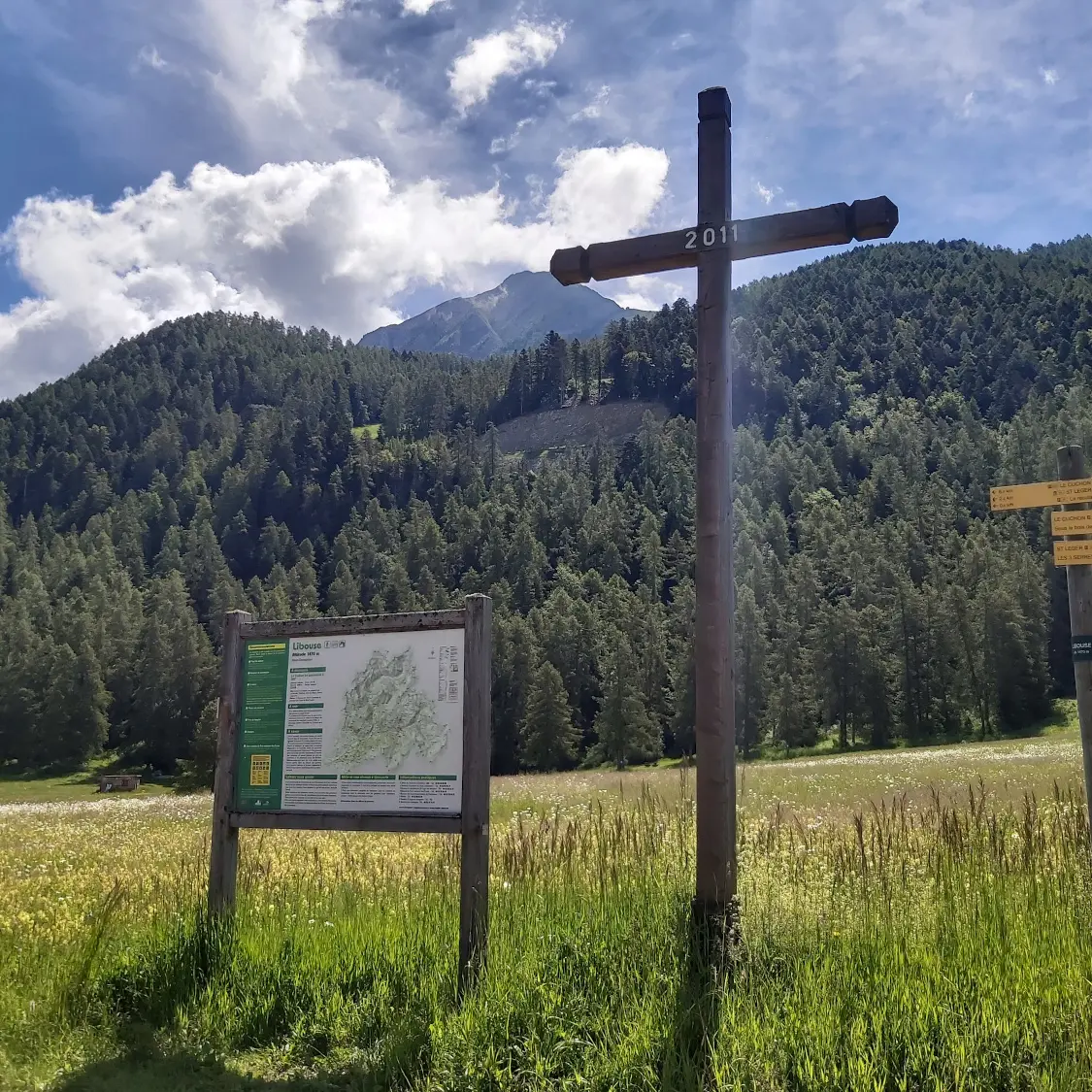 Plateau de Libouze, St Léger-les-Mélèzes