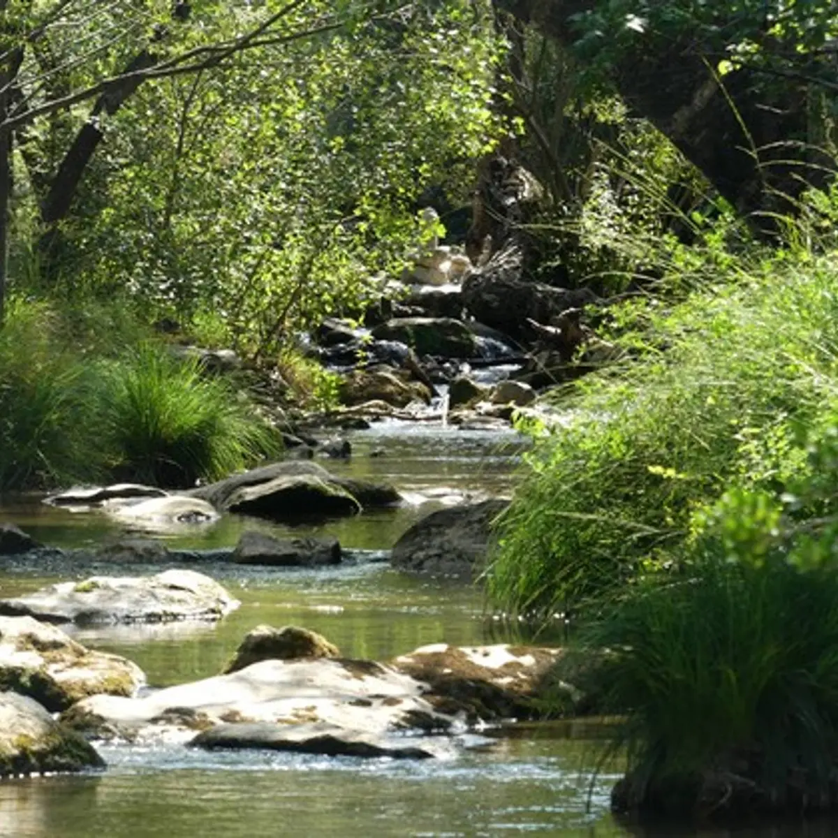 Les gorges du Caramy