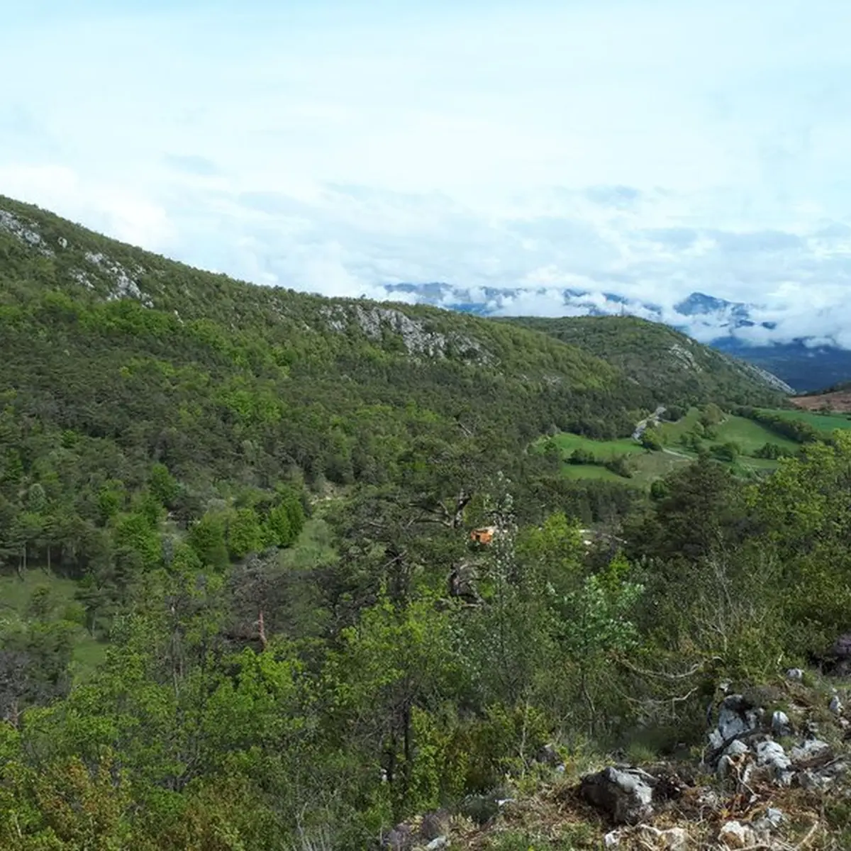 Panorama sur le Mont Lachens et les collines verdoyantes environnantes