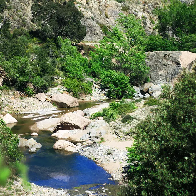 Barrage de Malpasset