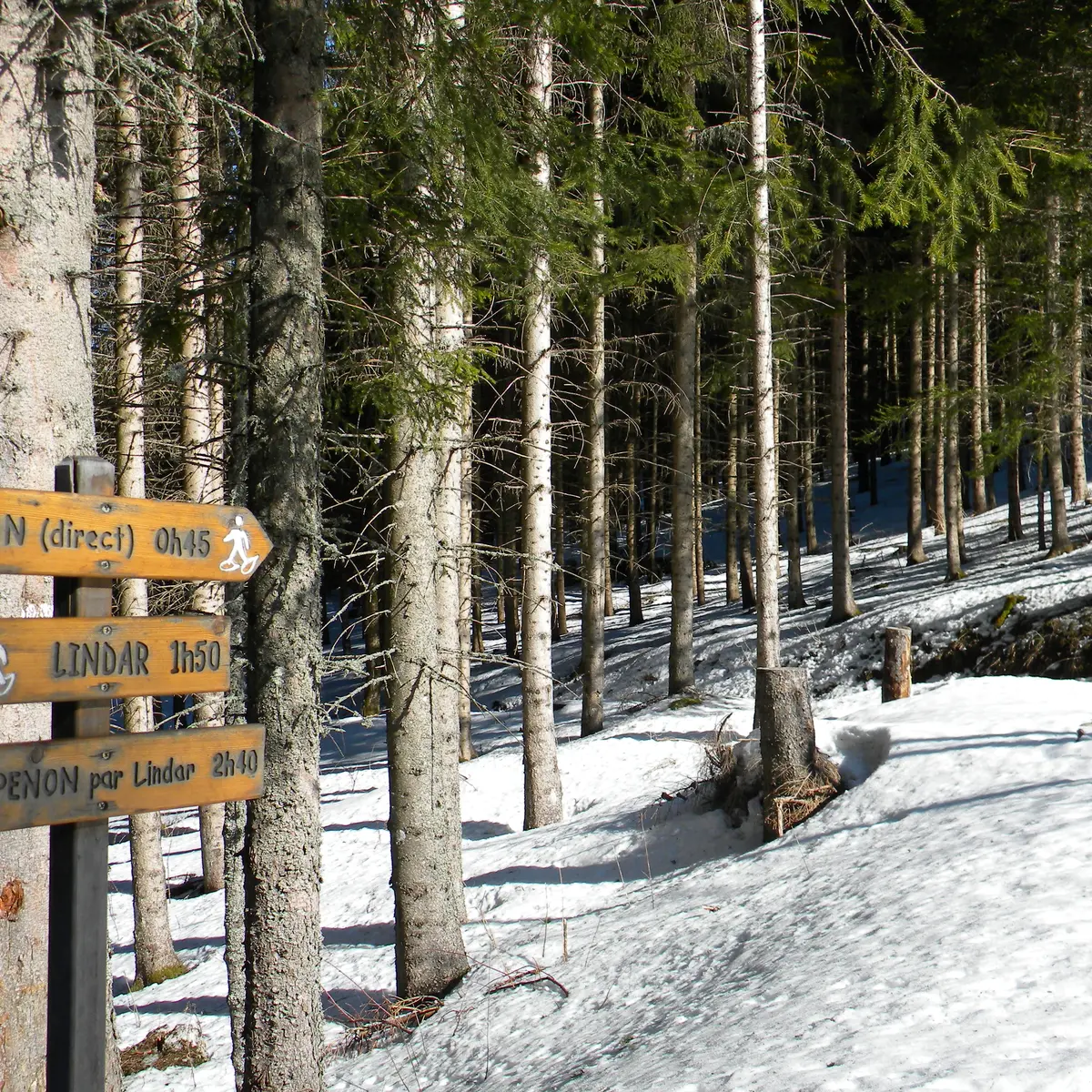 Balisage