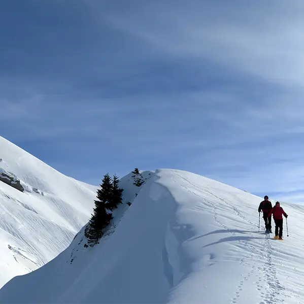 2 randonneurs raquettes sur des crêtes enneigées sous le soleil