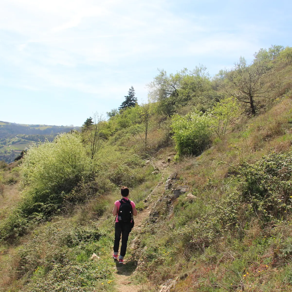 La colline de Revirand_Sarras