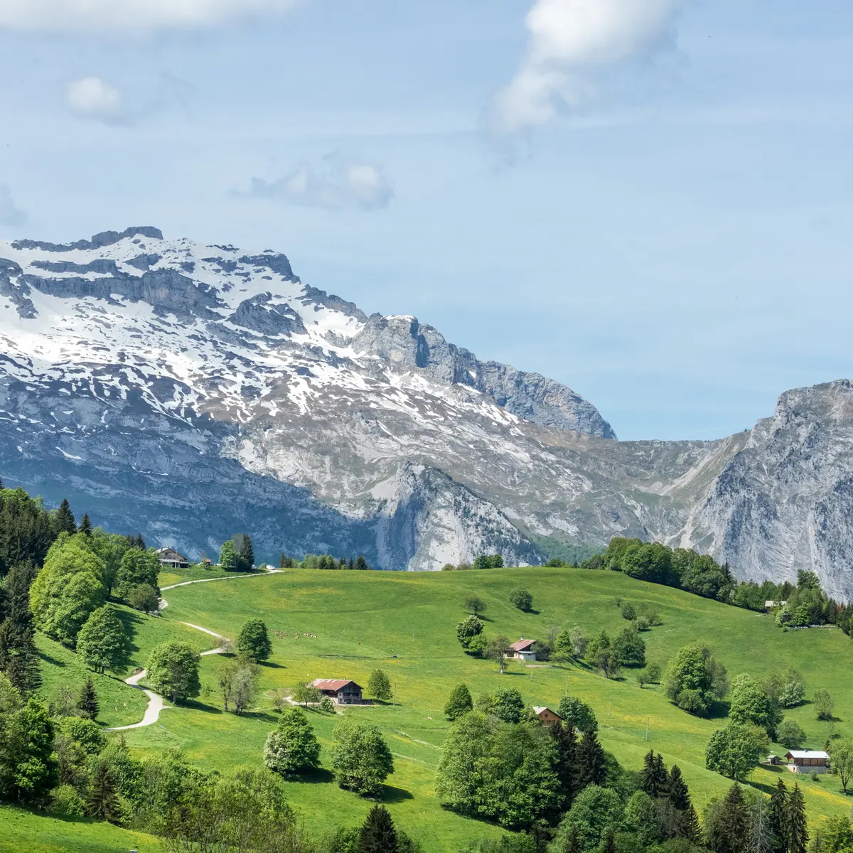 Sommets environnants - Tournette, Aiguille de Serraval, Mont Charvin et la Chaîne des Aravis