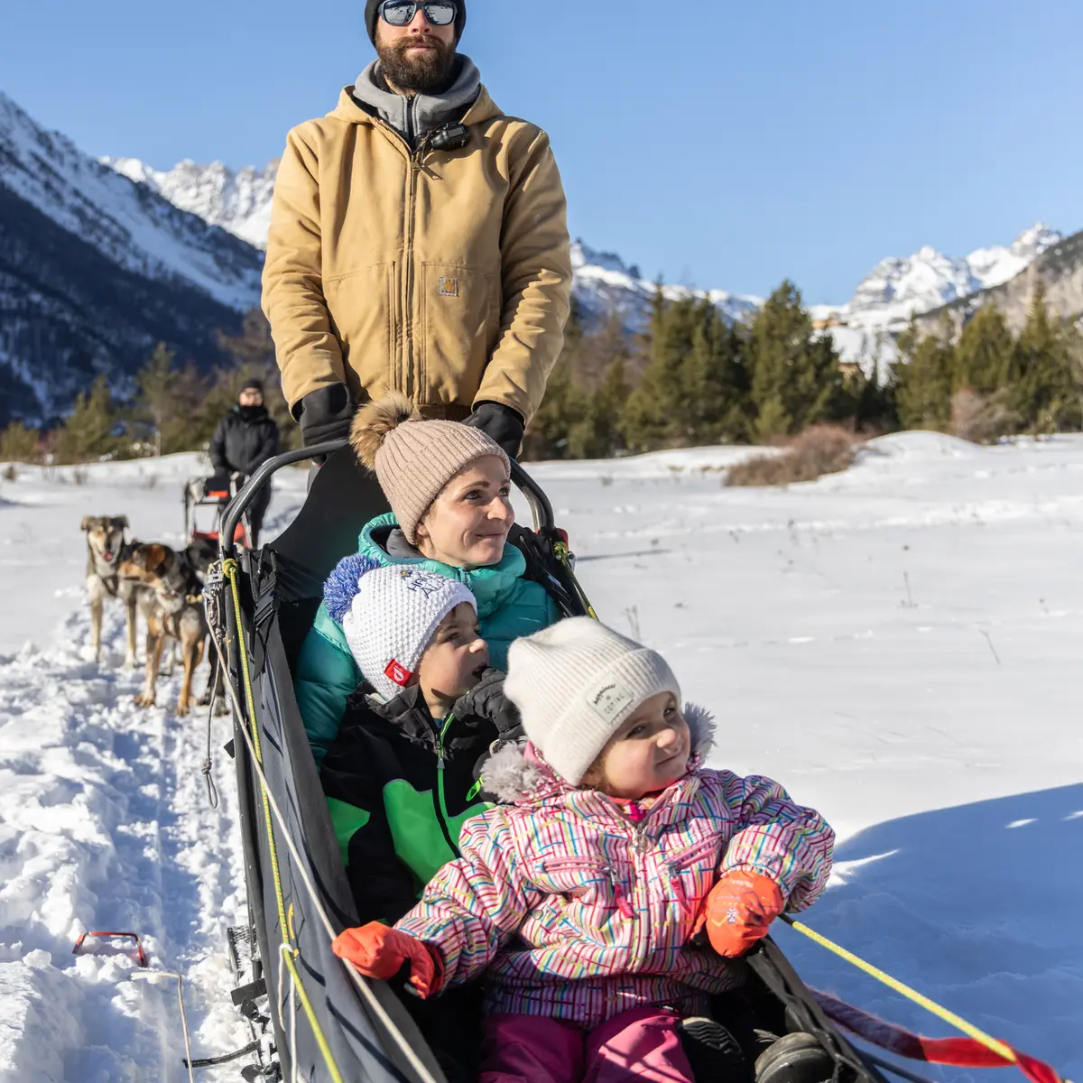Chiens de traineau - Vallée de la Clarée