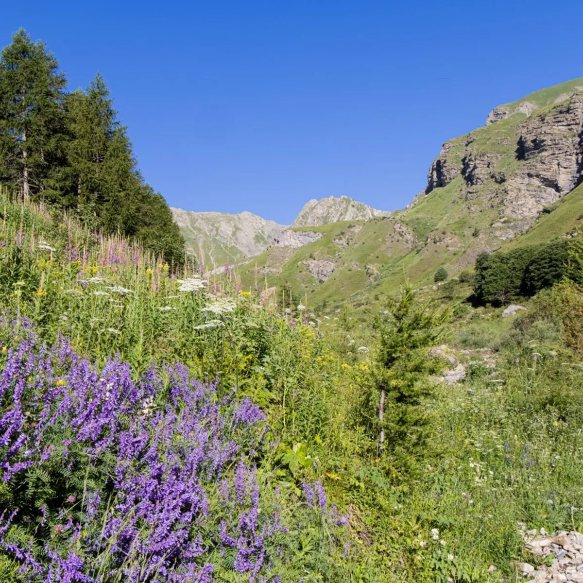 Montée au col de la Coupa