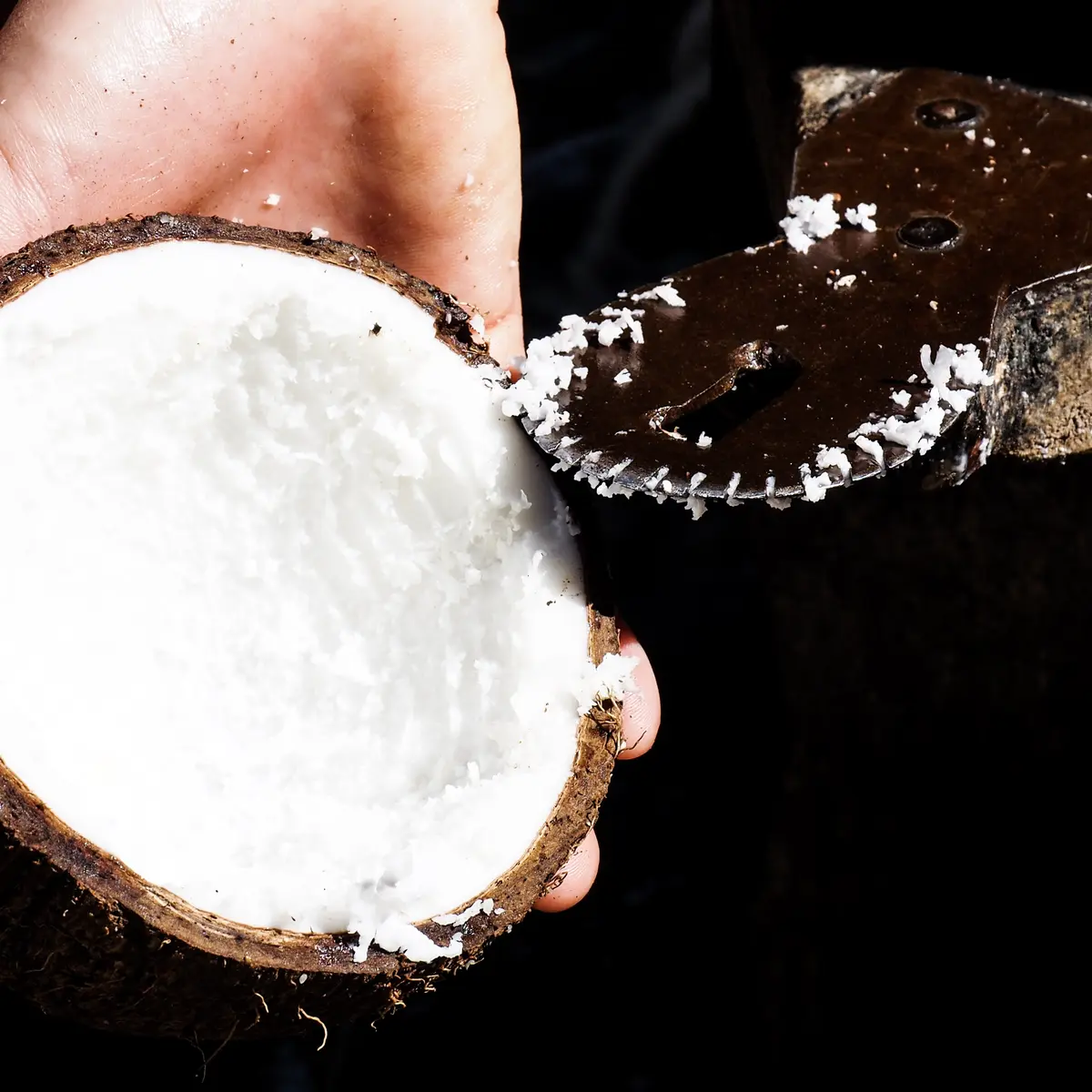 coco, repas en tribu, préparation