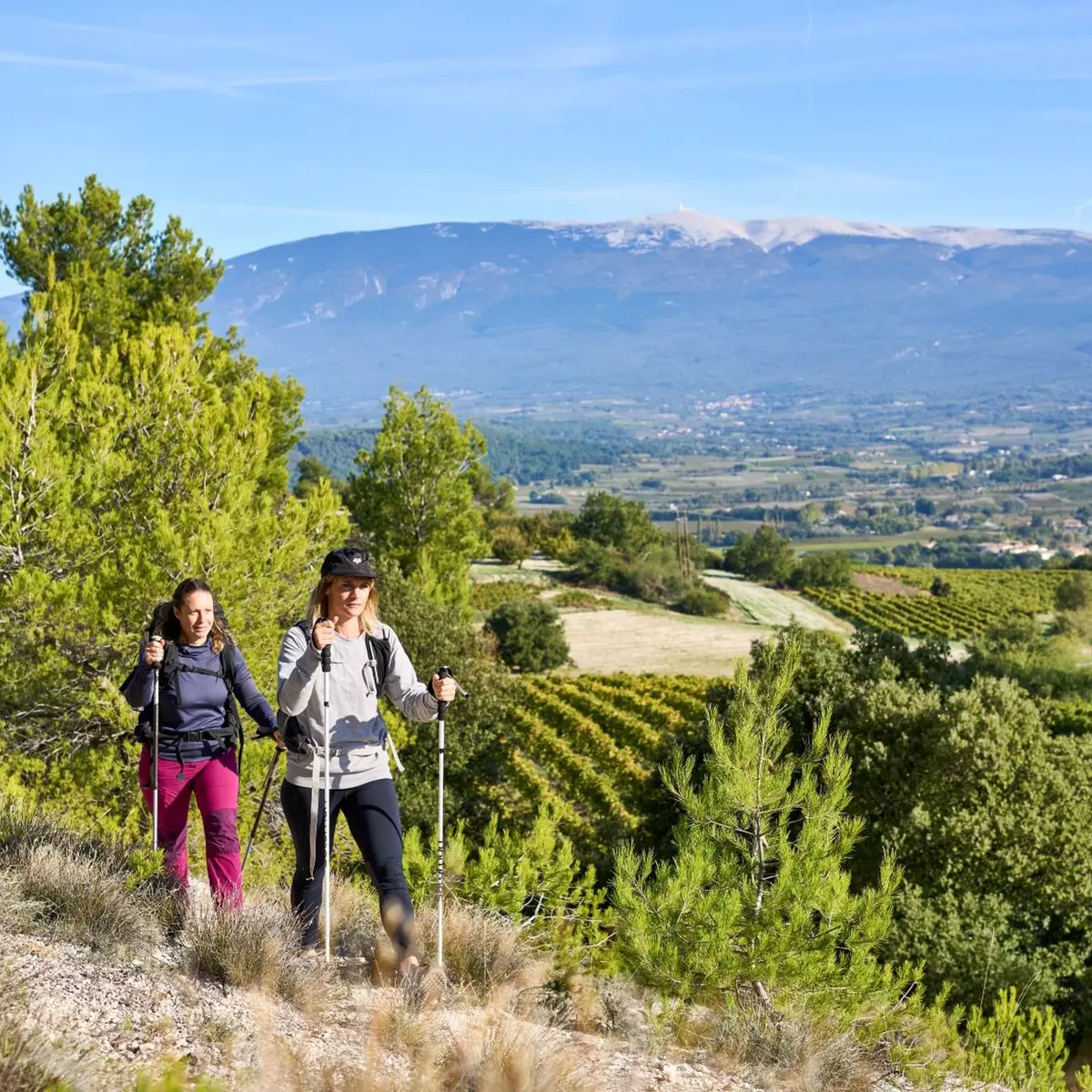 Panorama Ventoux vers Blauvac