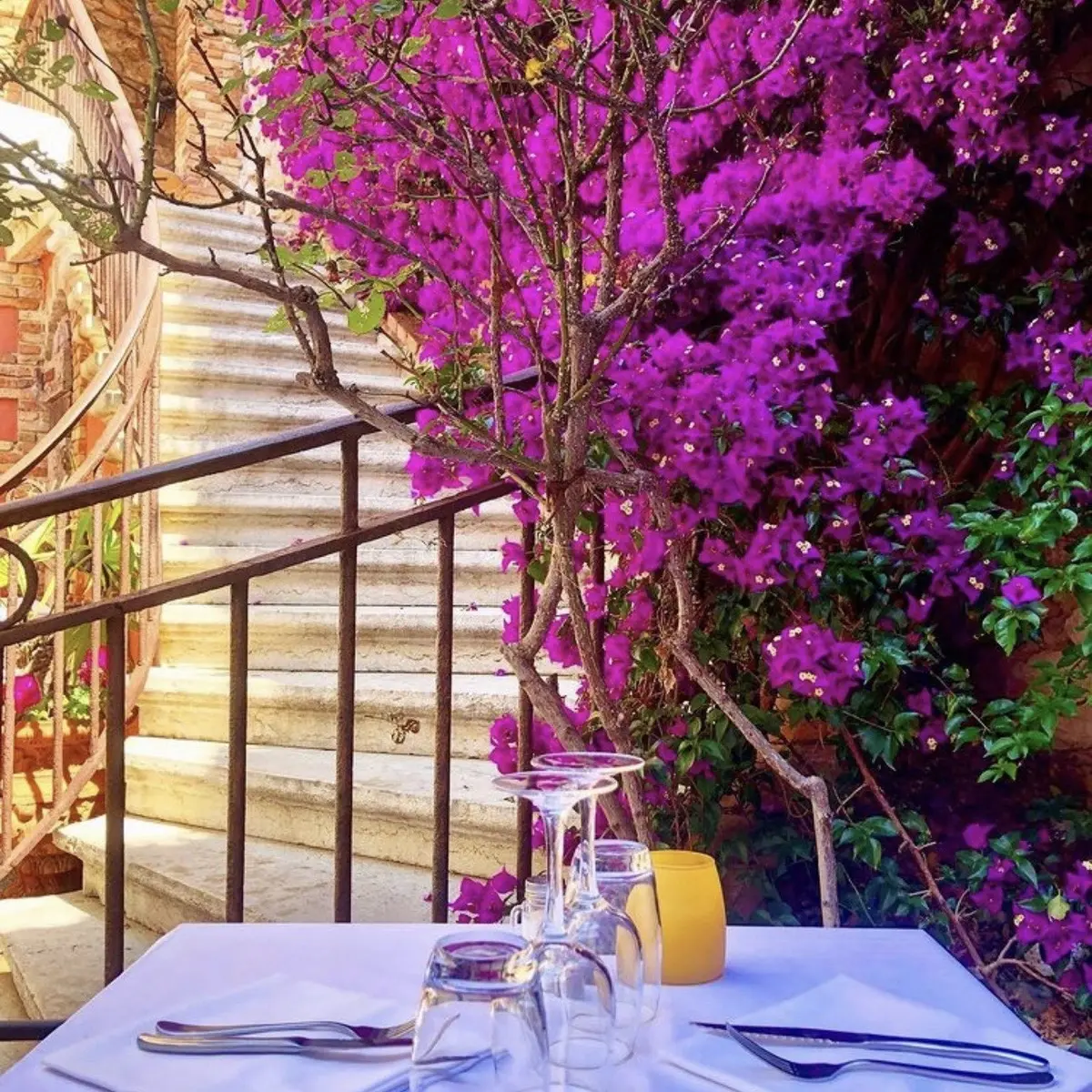 bougainvilliers et table dressée la Grotte