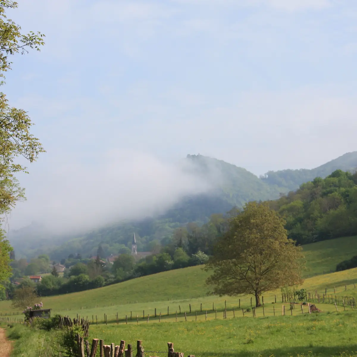 Base VTT Espace Revermont - circuit 4 rouge