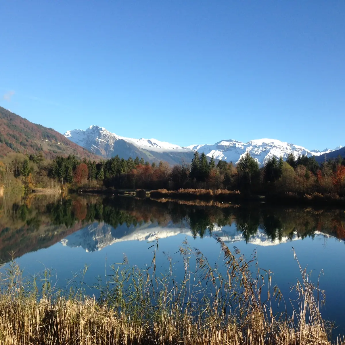 Vue sur le lac