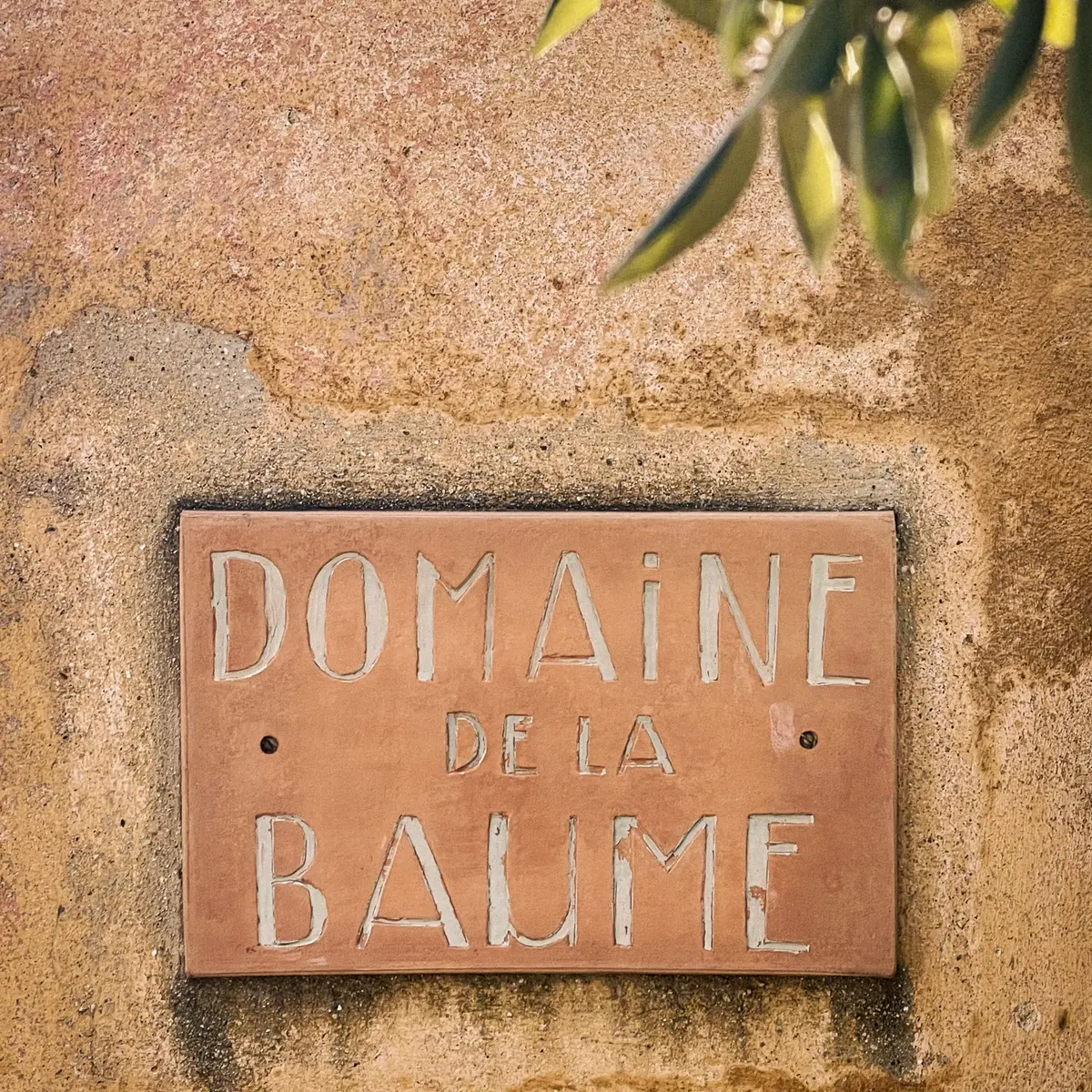 Plaque