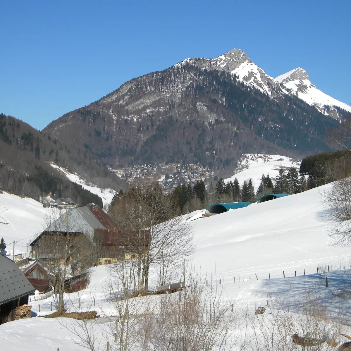 Le Penon