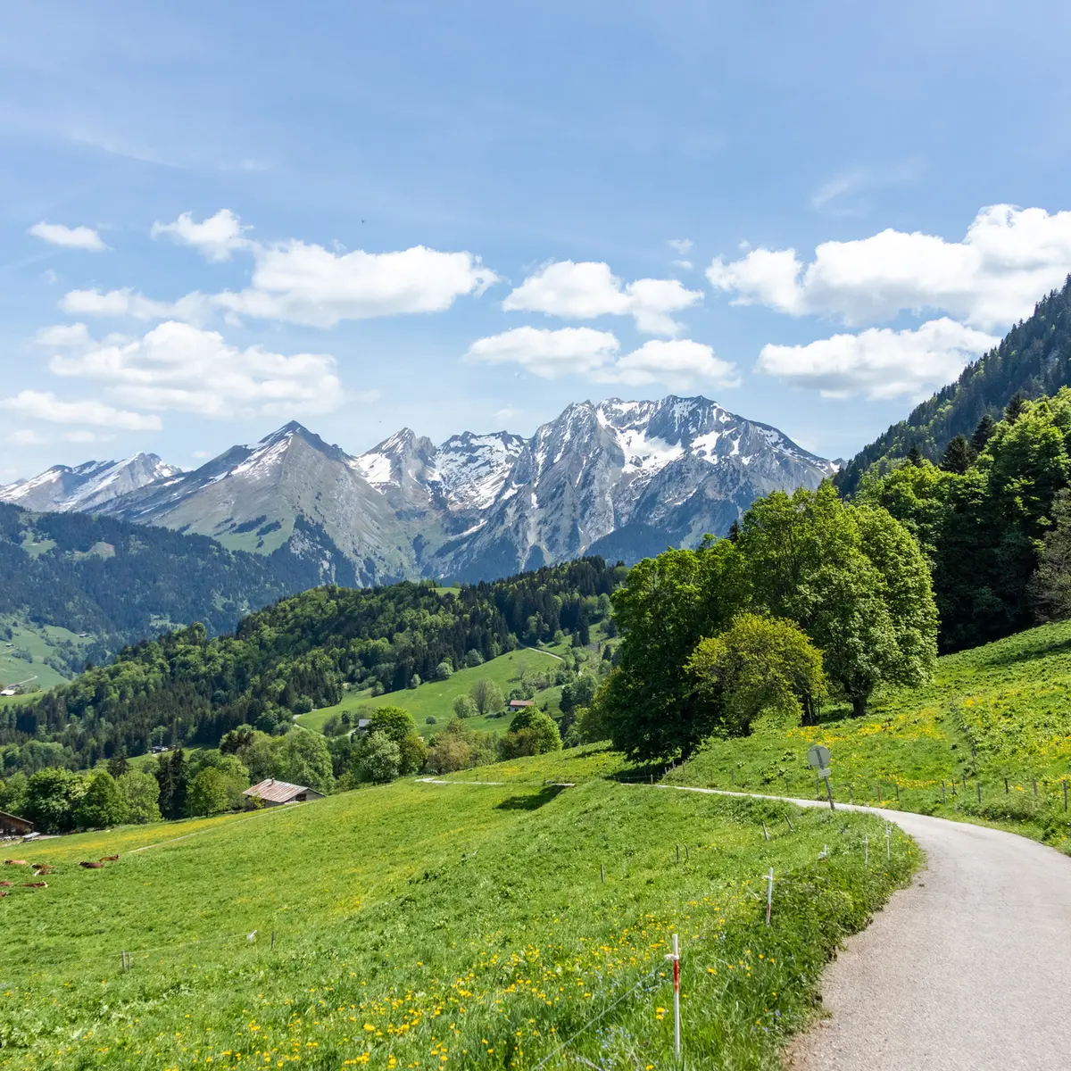 Sentier pédestre et VTT sur la montagne de Sulens