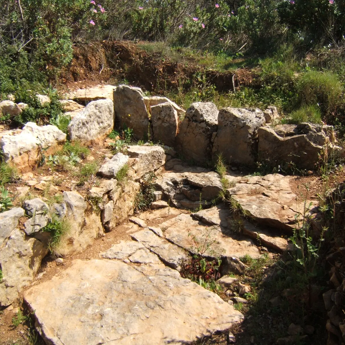 Oppidum du Castellas