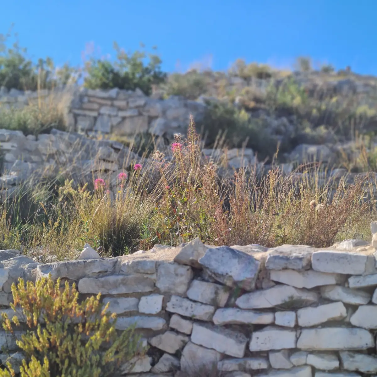 murs en pierres sèches