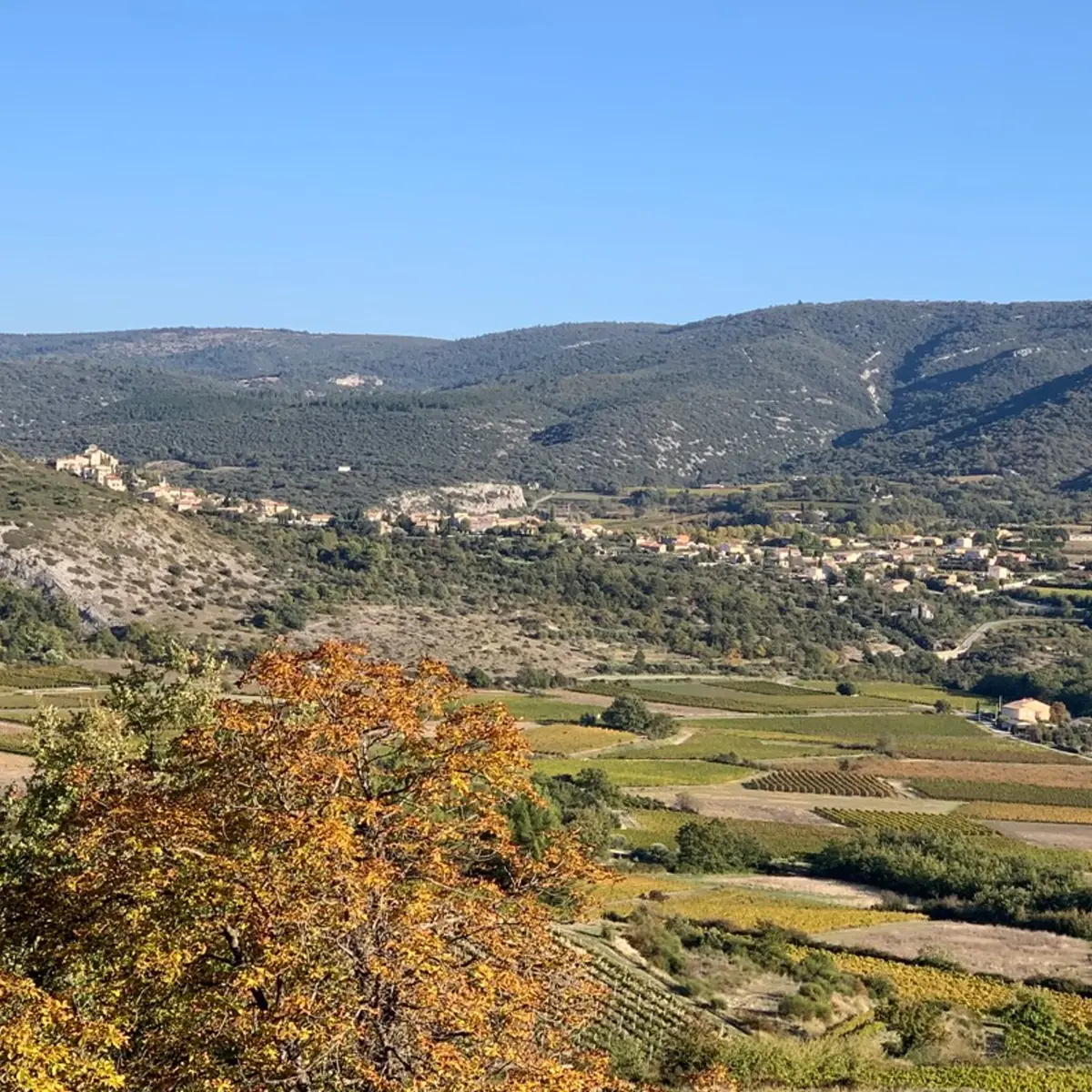 Méthamis vignes et paysage