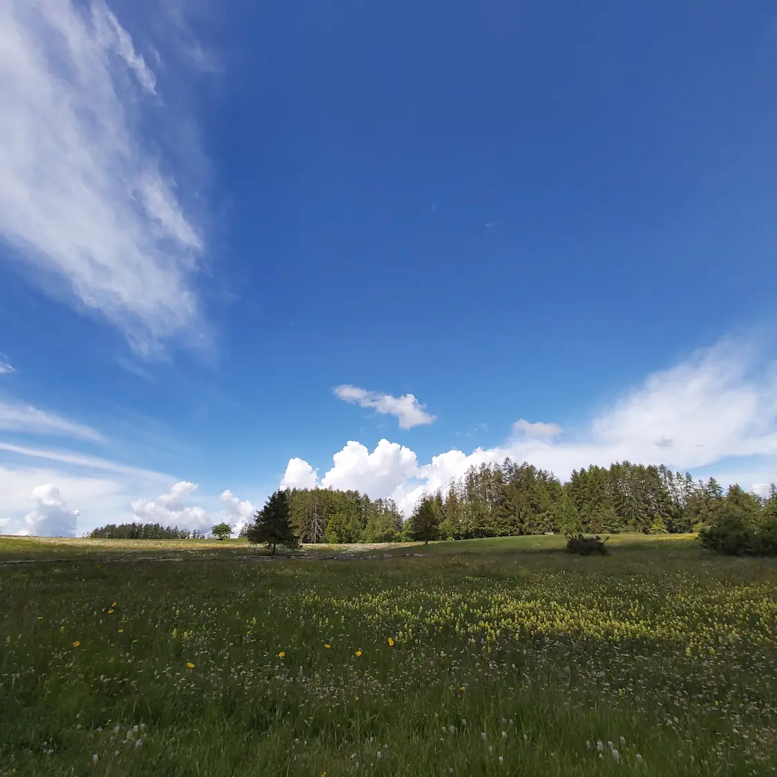 Plateau de Libouze, St Léger-les-Mélèzes