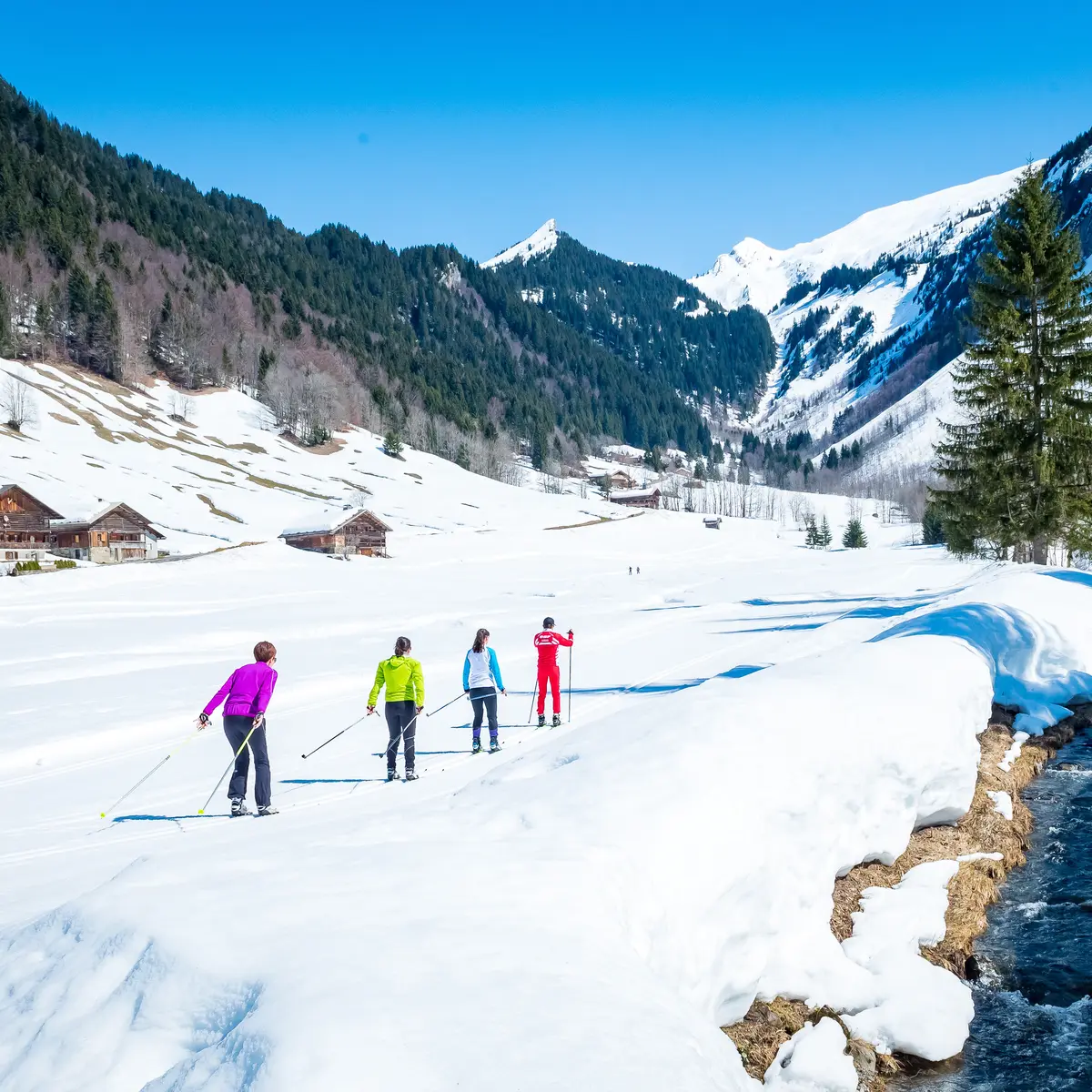 Biathlon stage adulte