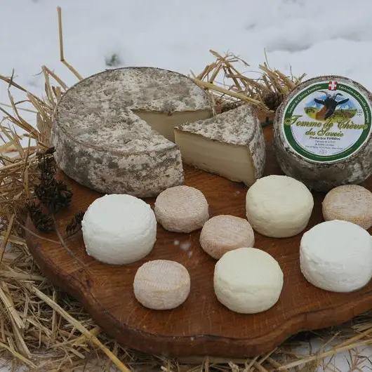 Plateau assortiment de fromages de chèvre