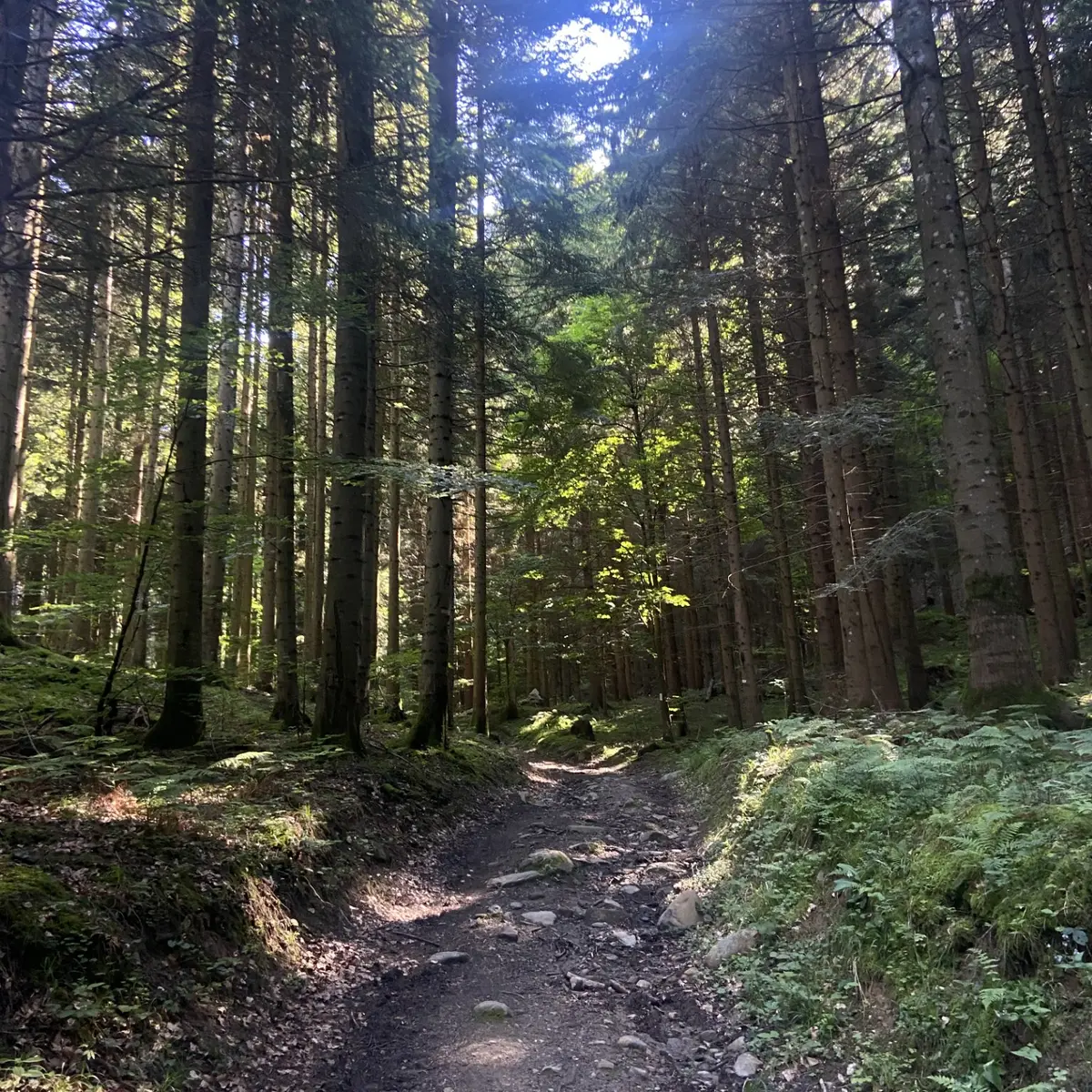Sentier Chevran