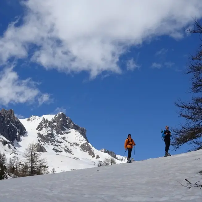 Séjour Raquette Into The Wild du Chalet d'en Hô