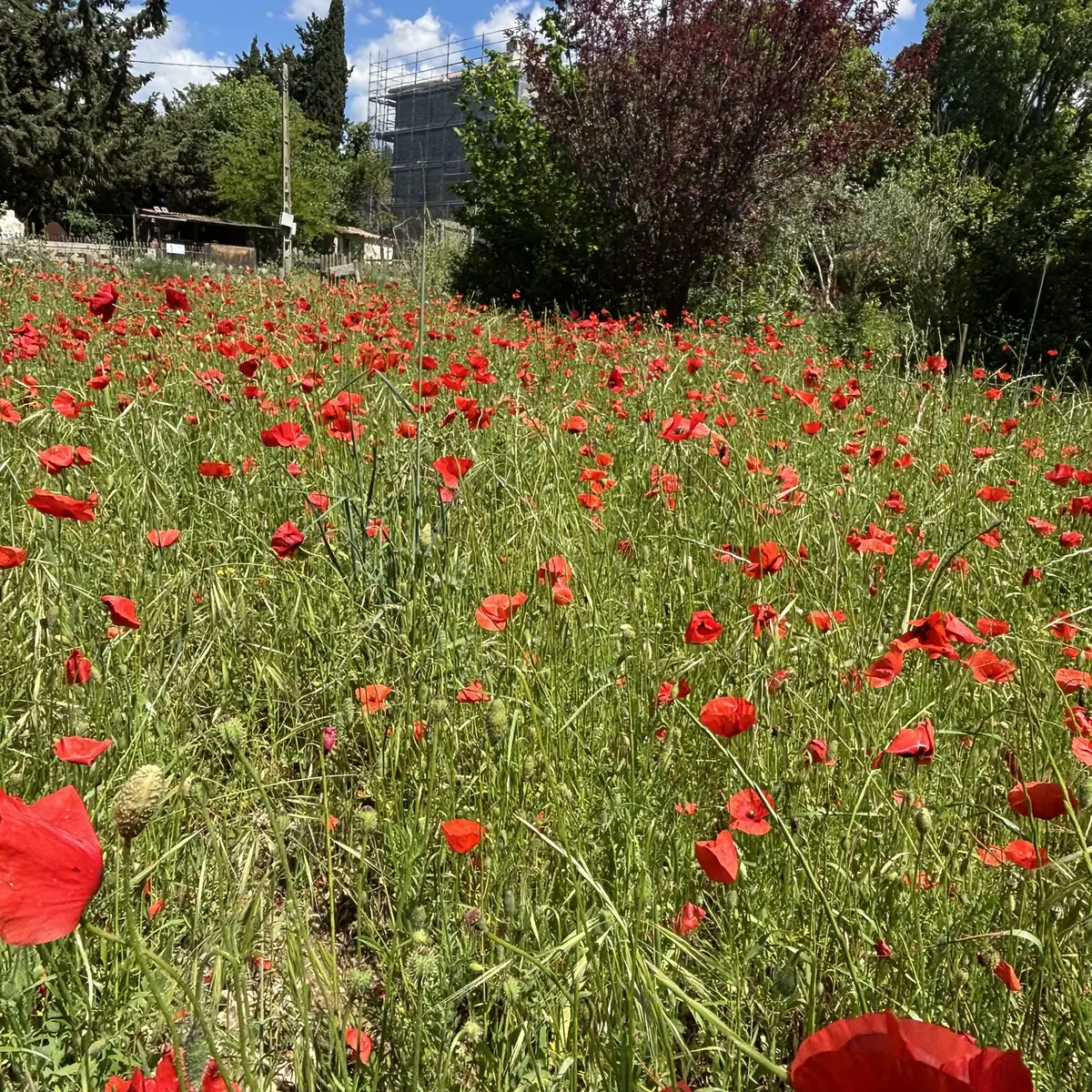Bastide Marin_La Ciotat