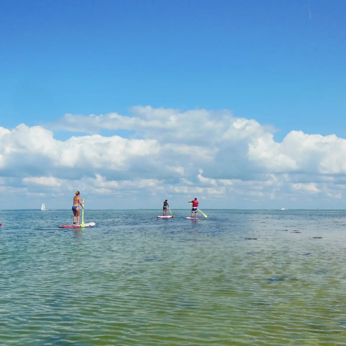 Randonnée en stand-up paddle dans le Fier d'Ars