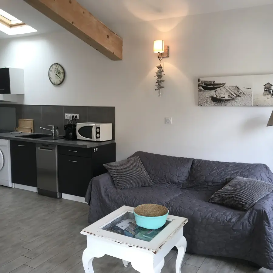 Living room and kitchen