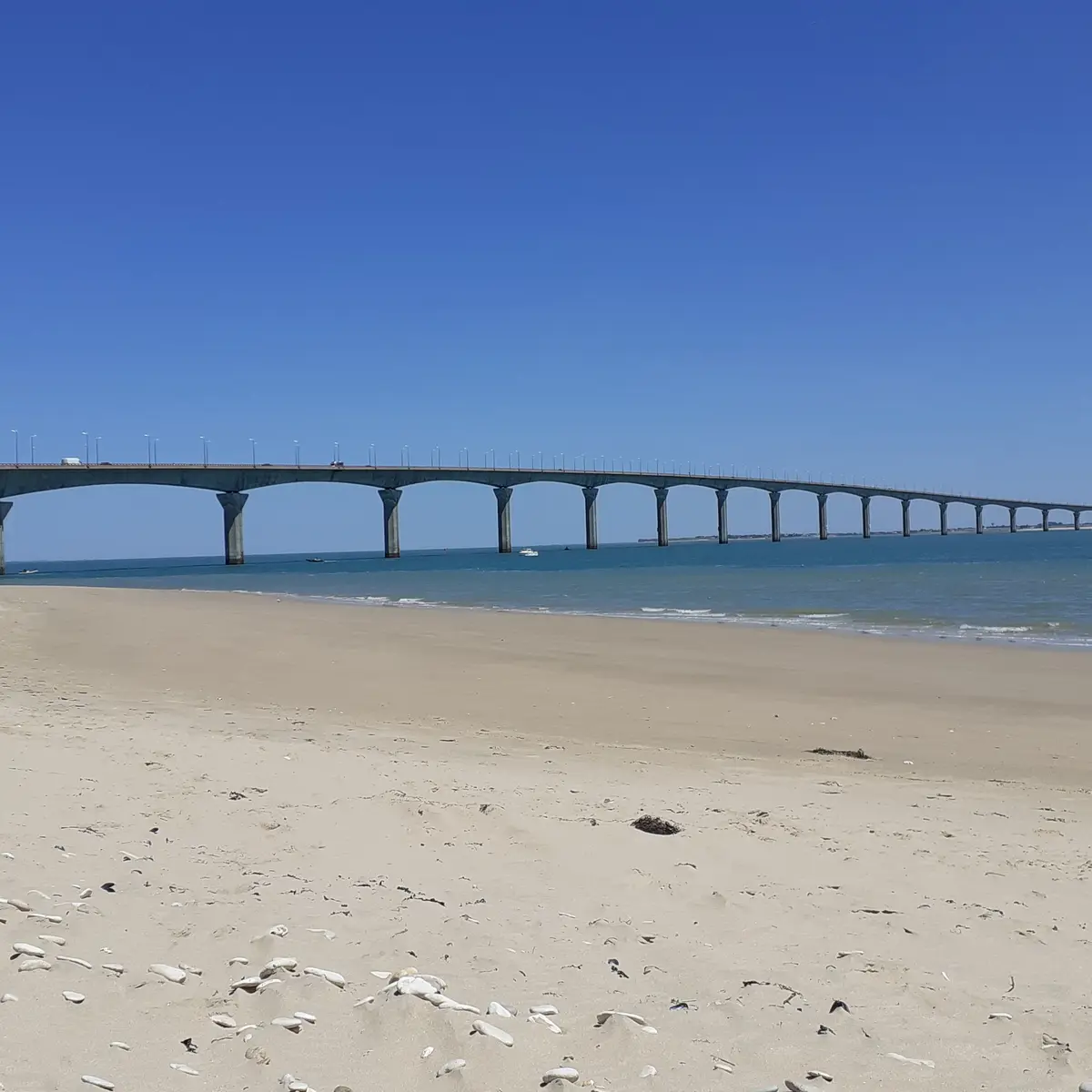 Pont de l'île de Ré depuis la plage