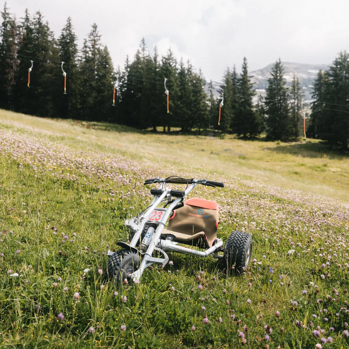 Mountain Kart avec 4 tailles différentes