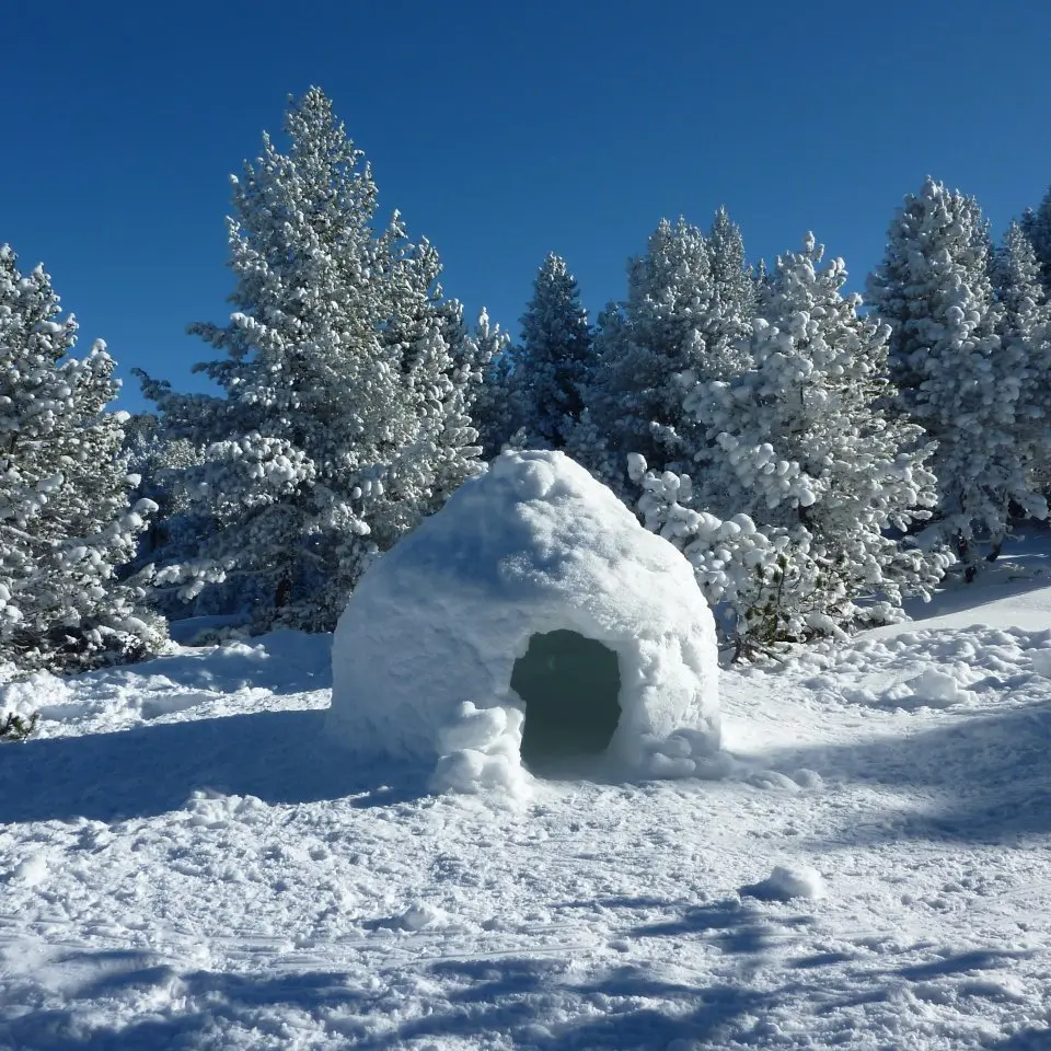 Igloo