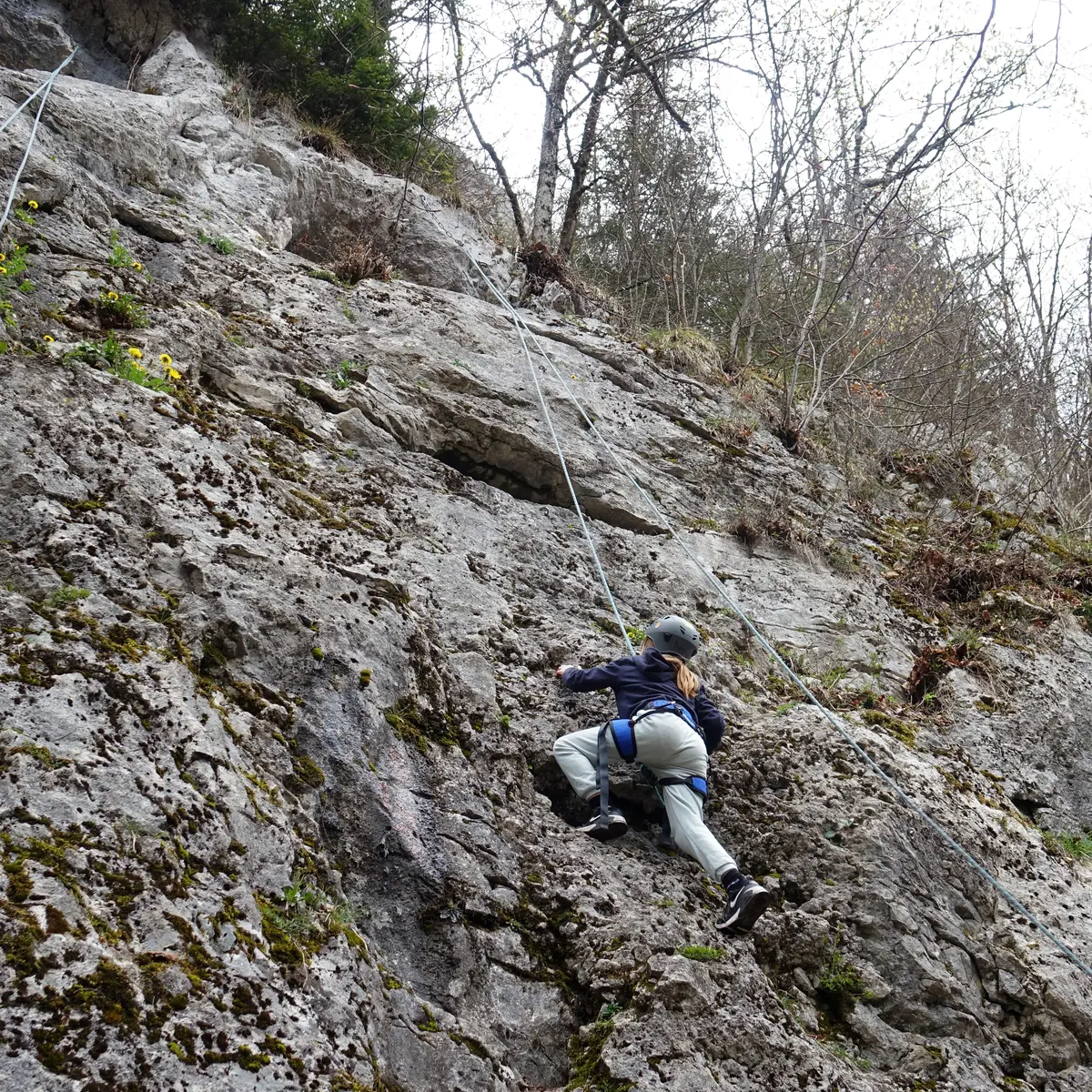 Escalade