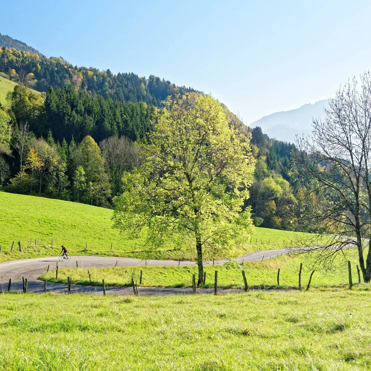 Col de la Forclaz